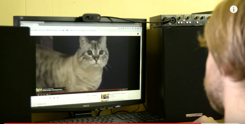 pat cat.PNG